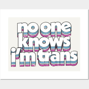 No One Know I'm Trans  - Trans Flag Rainbow Design Posters and Art